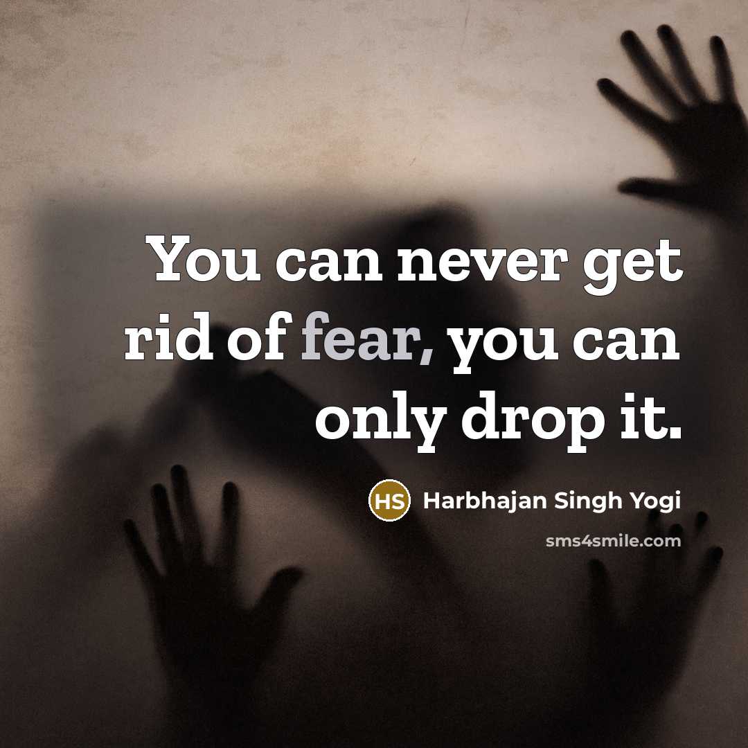“You can never get rid of fear, you can only drop it.” quote by Harbhajan Singh Yogi