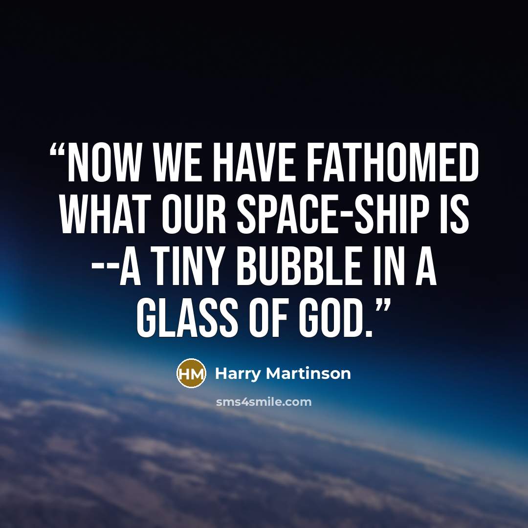 “now we have fathomed what our space-ship is --a tiny bubble in a glass of God.” quote by Harry Martinson