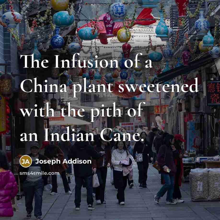 “The Infusion of a China plant sweetened with the pith…” quote by Joseph Addison