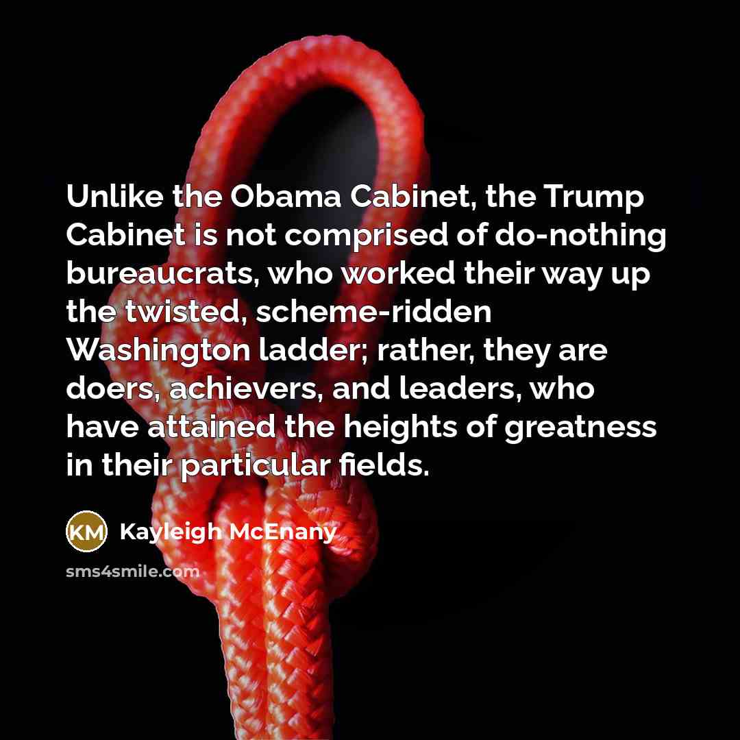 “Unlike the Obama Cabinet, the Trump Cabinet is not comprised…” quote by Kayleigh McEnany