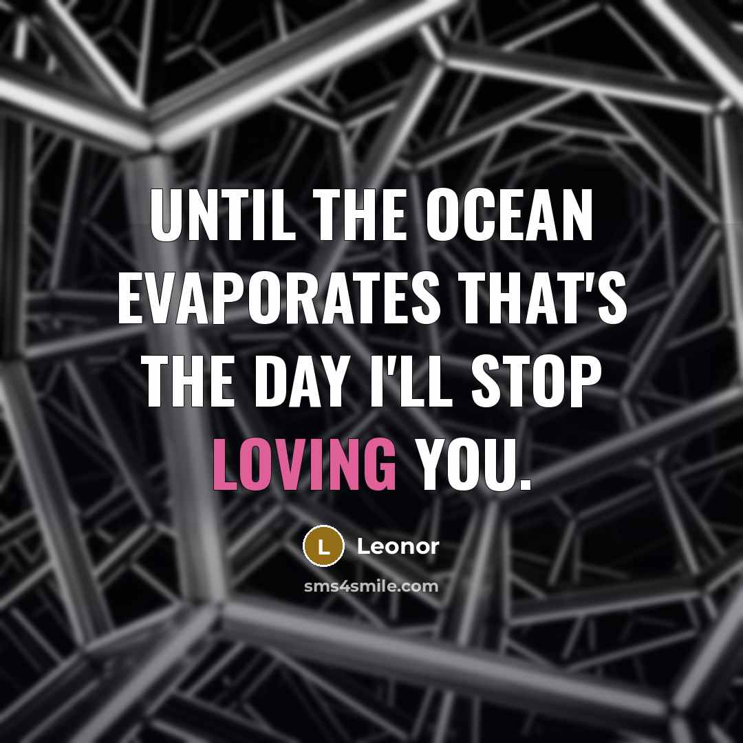 “Until the ocean evaporates that's the day I'll stop loving you.” quote by Leonor