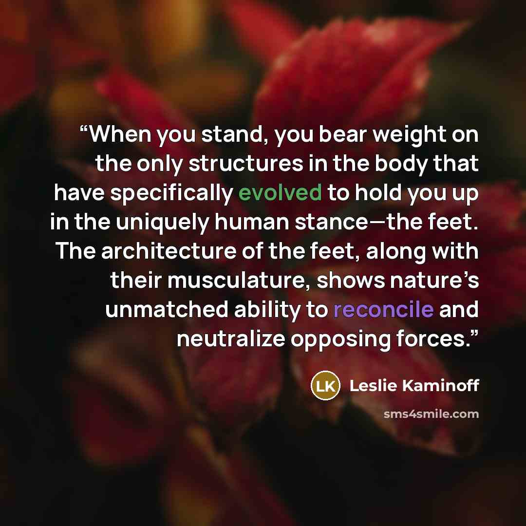 “When you stand, you bear weight on the only structures in the body that have specifically evolved to hold you up in the uniquely human stance—the feet. The architecture of the feet, along with their musculature, shows nature’s unmatched ability to reconcile and neutralize opposing forces.” quote by Leslie Kaminoff