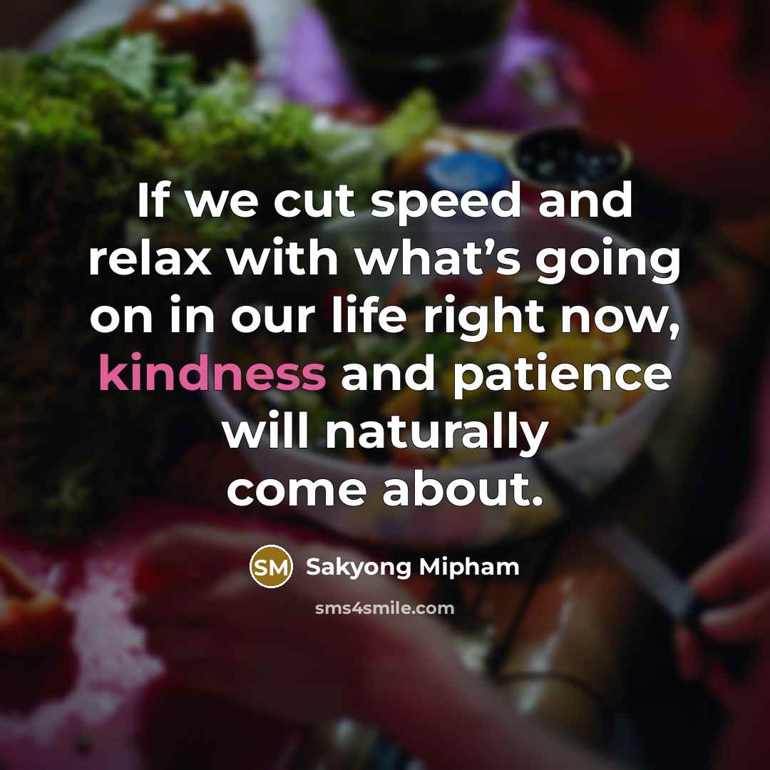 “If we cut speed and relax with what’s going on…” quote by Sakyong Mipham