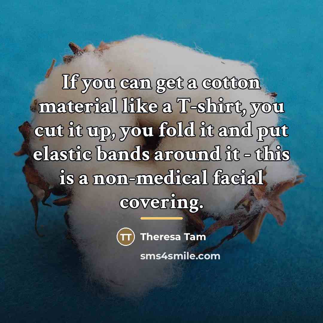 “If you can get a cotton material like a T-shirt,…” quote by Theresa Tam