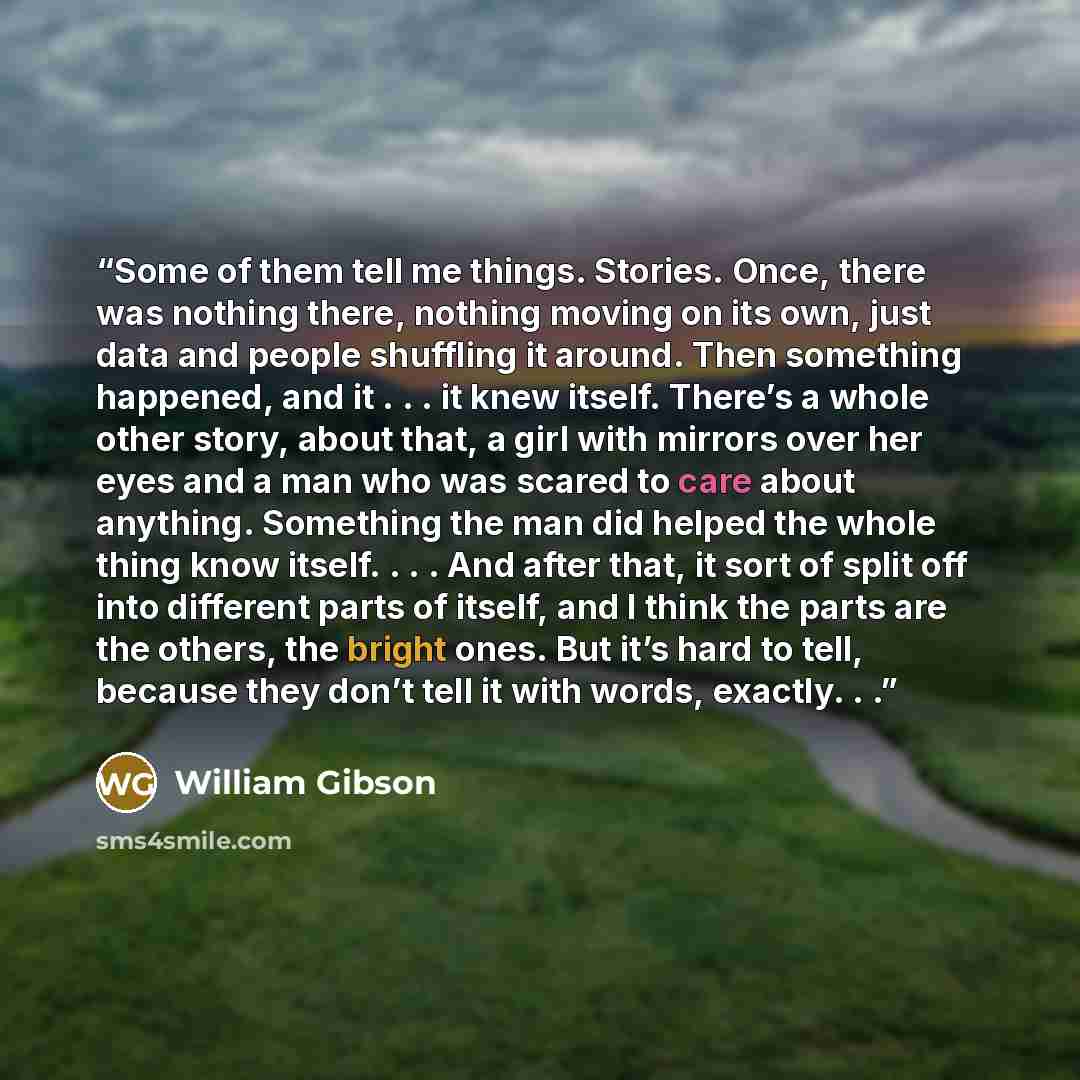 “Some of them tell me things. Stories. Once, there was nothing there, nothing moving on its own, just data and people shuffling it around. Then something happened, and it . . . it knew itself. There’s a whole other story, about that, a girl with mirrors over her eyes and a man who was scared to…” quote by William Gibson