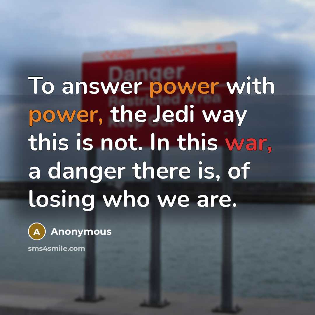 “To answer power with power, the Jedi way this is not. In this war, a danger there is, of losing who we are.” quote by Anonymous