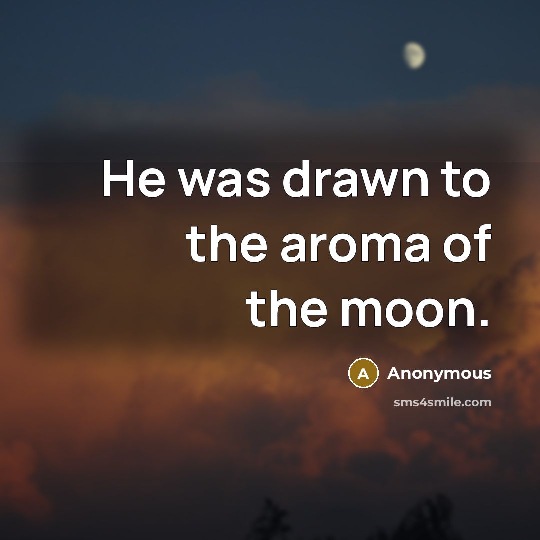 “He was drawn to the aroma of the moon.…” quote by Anonymous