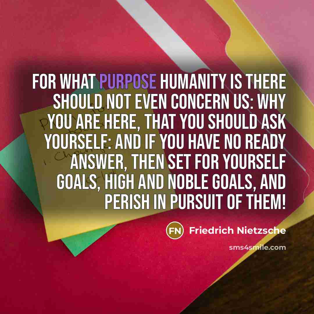 “For what purpose humanity is there should not even concern…” quote by Friedrich Nietzsche
