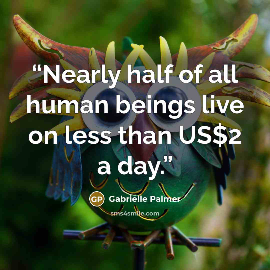“Nearly half of all human beings live on less than US$2 a day.” quote by Gabrielle Palmer