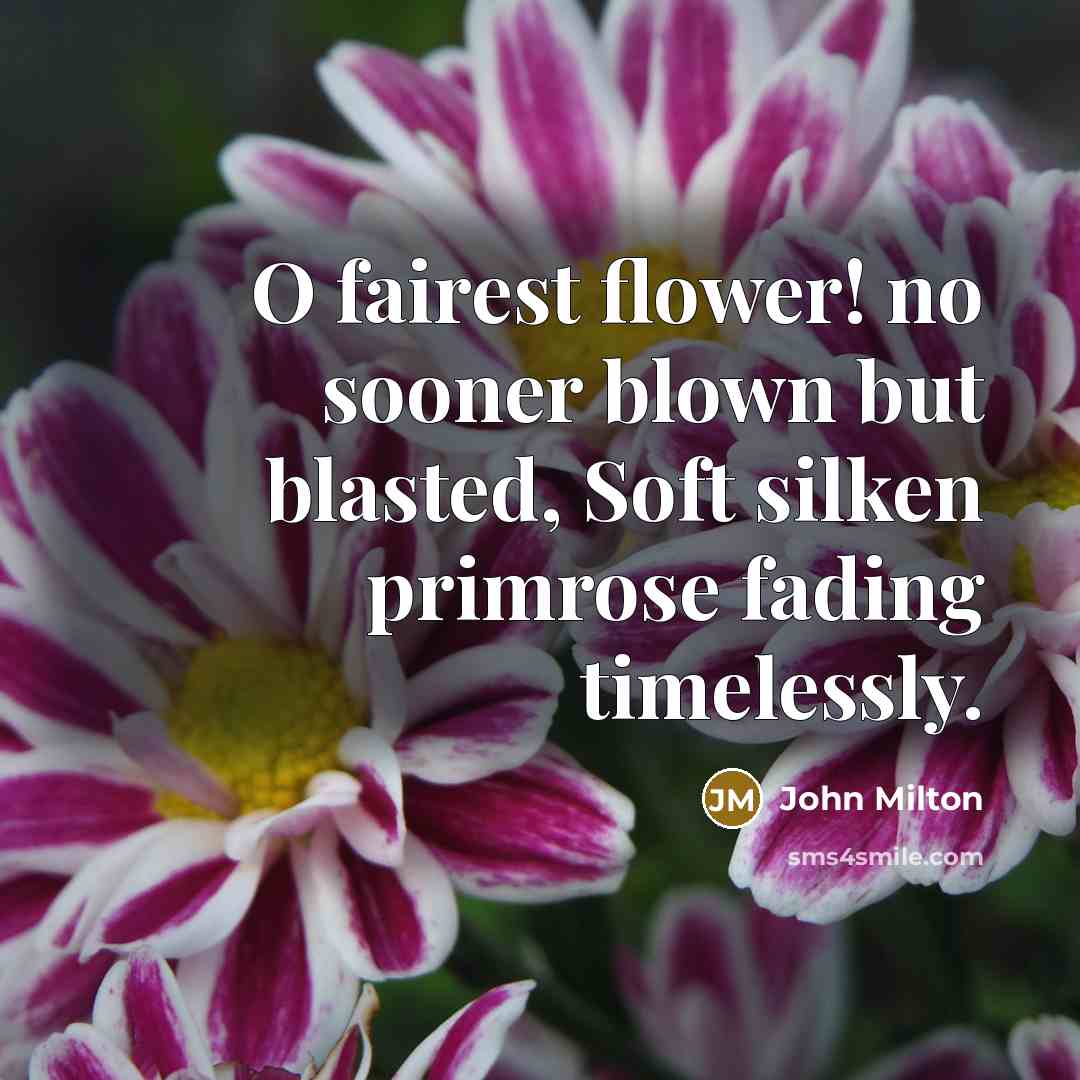 “O fairest flower! no sooner blown but blasted, Soft silken…” quote by John Milton