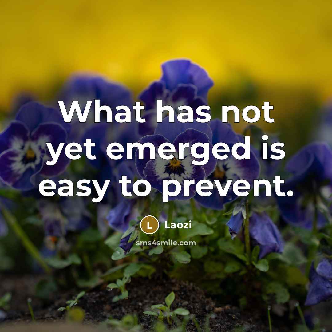 “What has not yet emerged is easy to prevent.…” quote by Laozi