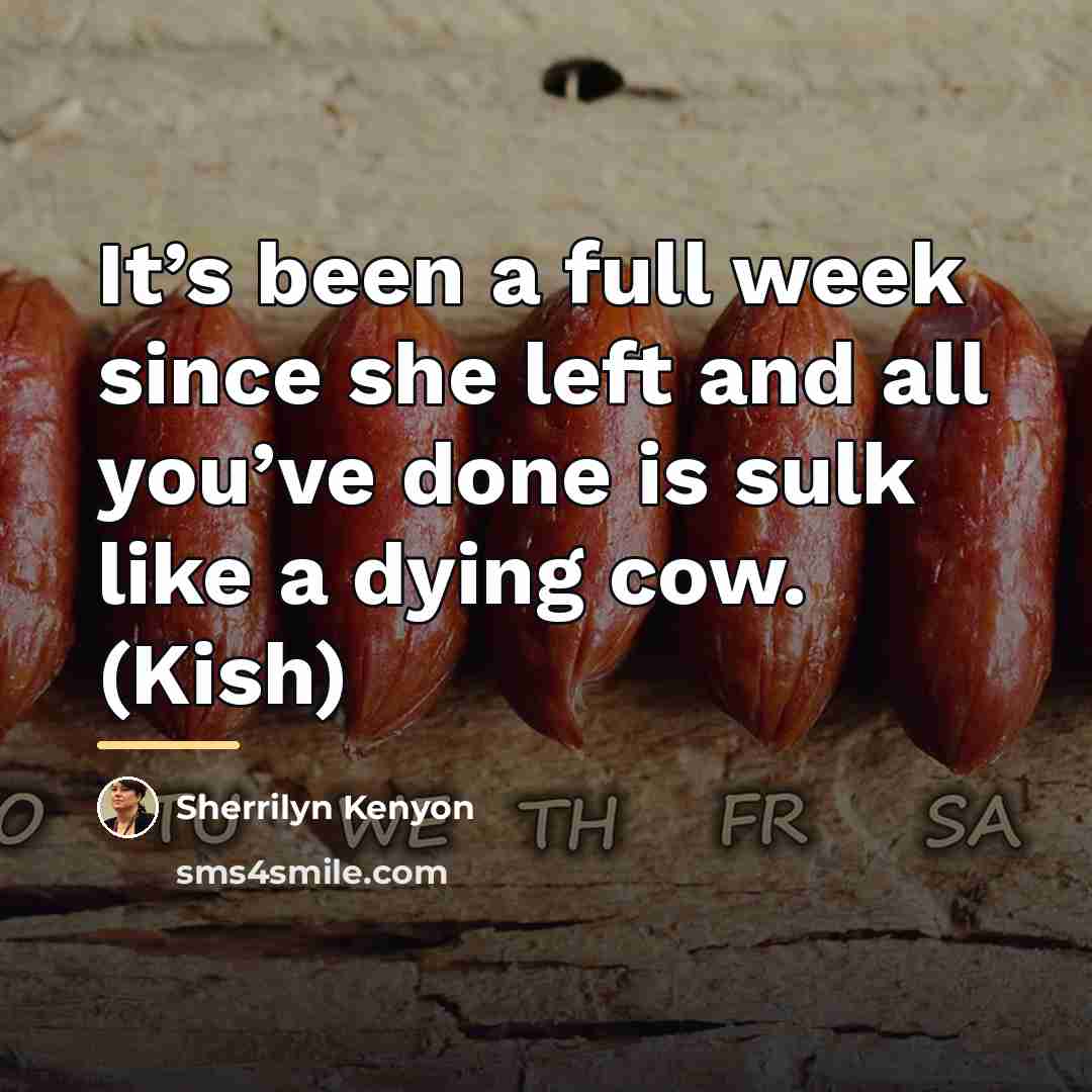 “It’s been a full week since she left and all…” quote by Sherrilyn Kenyon
