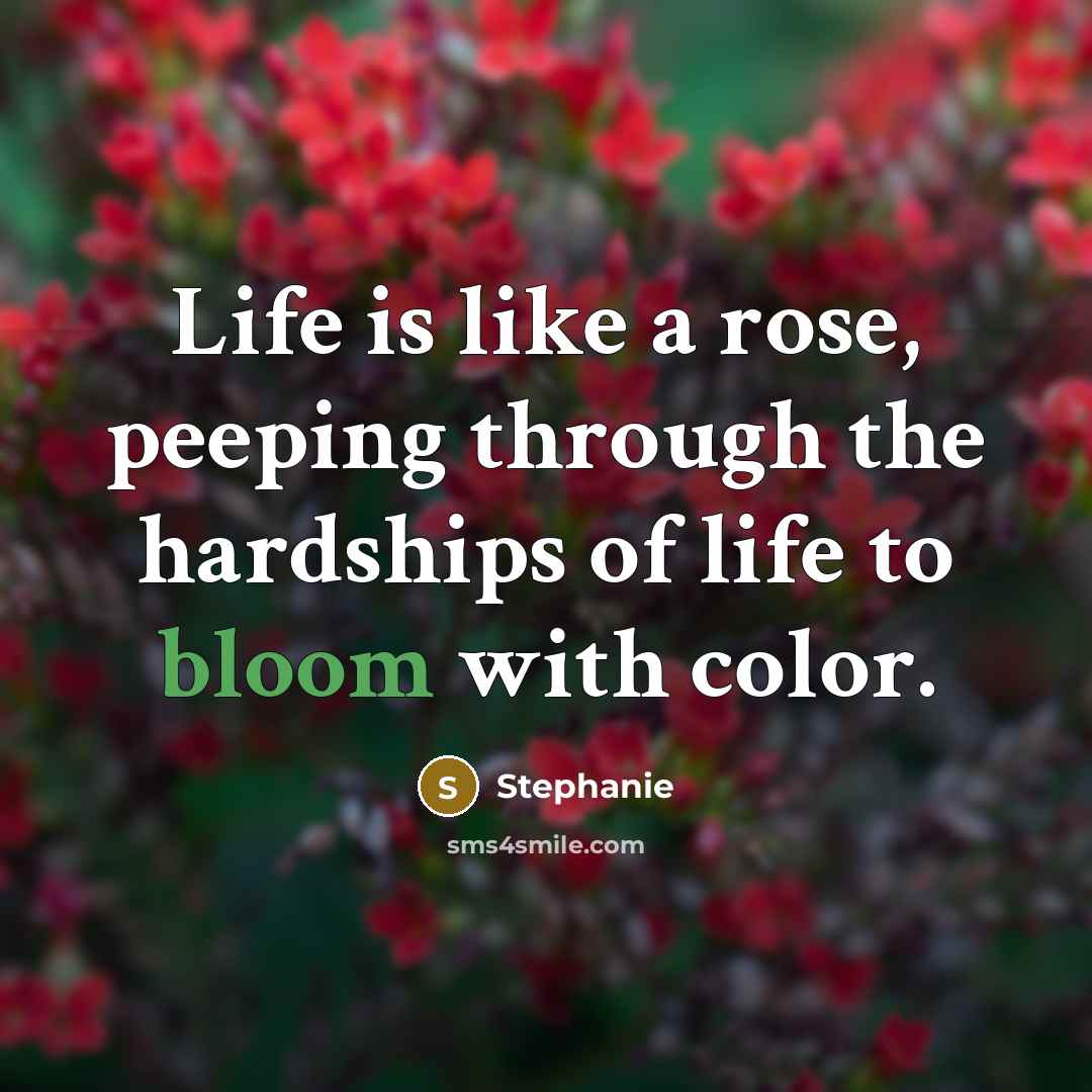 “Life is like a rose, peeping through the hardships of…” quote by Stephanie