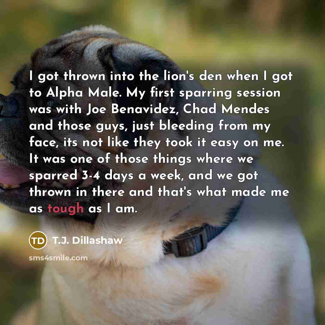 “I got thrown into the lion's den when I got…” quote by T.J. Dillashaw