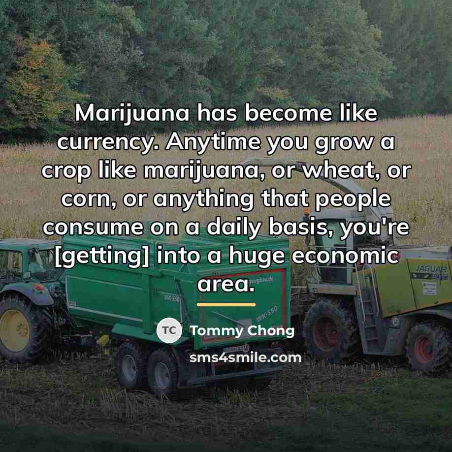 “Marijuana has become like currency. Anytime you grow a crop…” quote by Tommy Chong