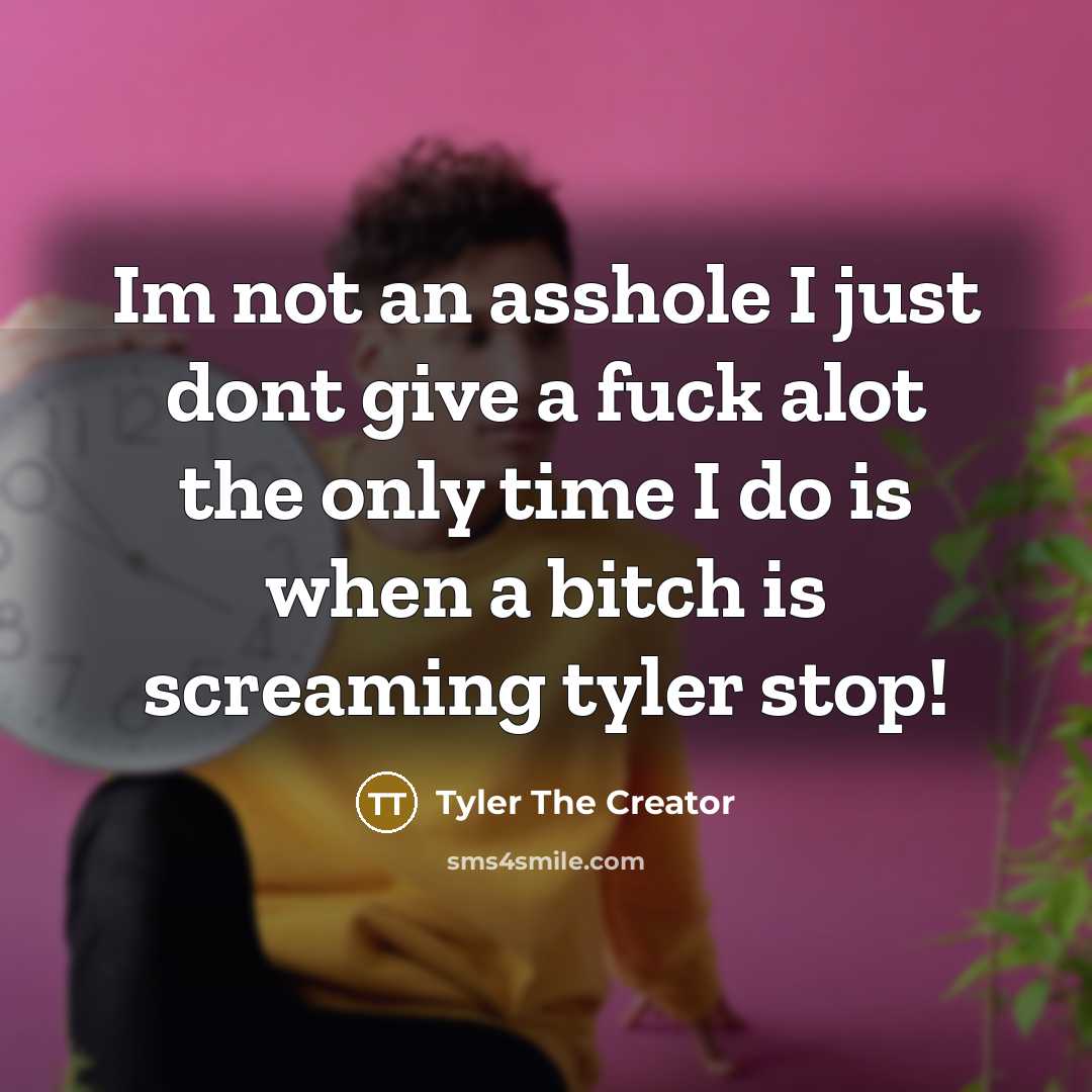 “Im not an asshole I just dont give a fuck alot the only time I do is when a bitch is screaming tyler stop!” quote by Tyler The Creator