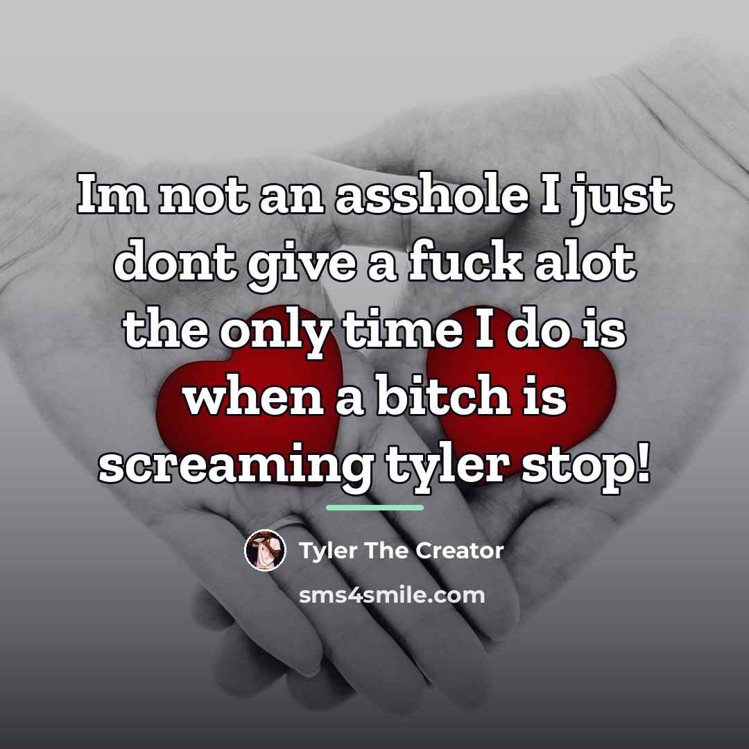 “Im not an asshole I just dont give a fuck…” quote by Tyler The Creator