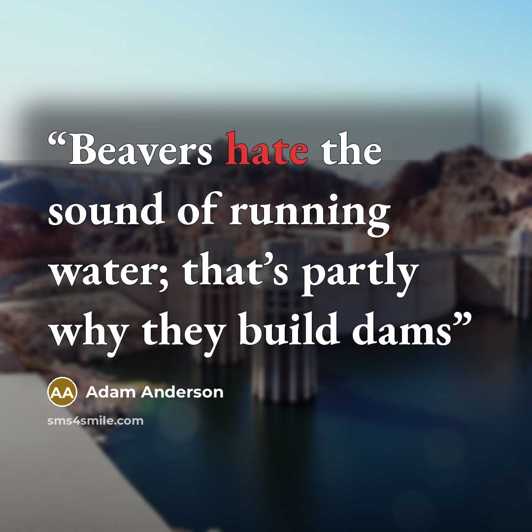 “Beavers hate the sound of running water; that’s partly why they build dams” quote by Adam Anderson
