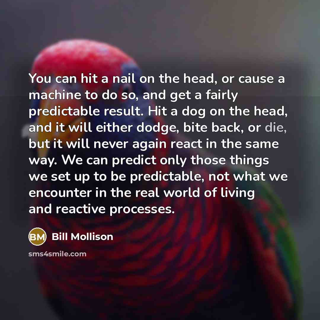 “You can hit a nail on the head, or cause a machine to do so, and get a fairly predictable result. Hit a dog on the head, and it will either dodge, bite back, or die, but it will never again react in the same way. We can predict only those things we set up to be predictable, not what we encounter…” quote by Bill Mollison