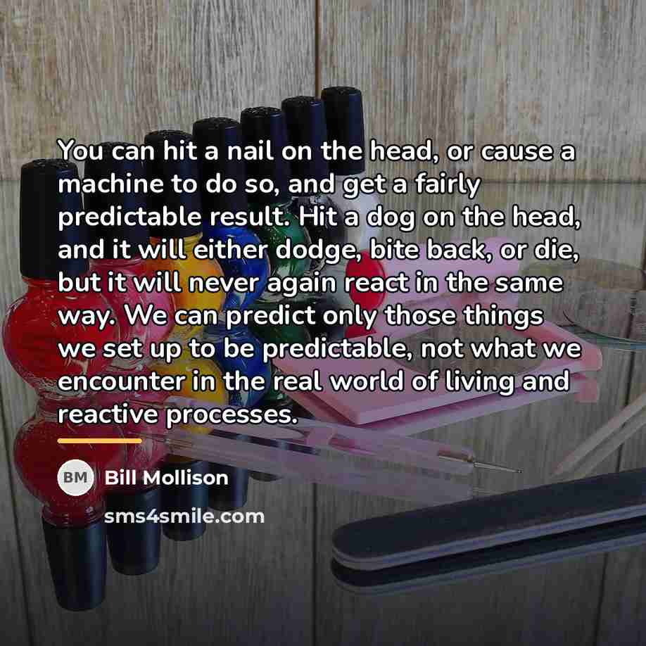 “You can hit a nail on the head, or cause…” quote by Bill Mollison