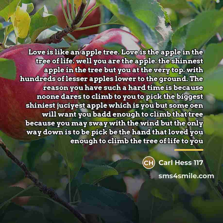 “Love is like an apple tree. Love is the apple…” quote by Carl Hess 117