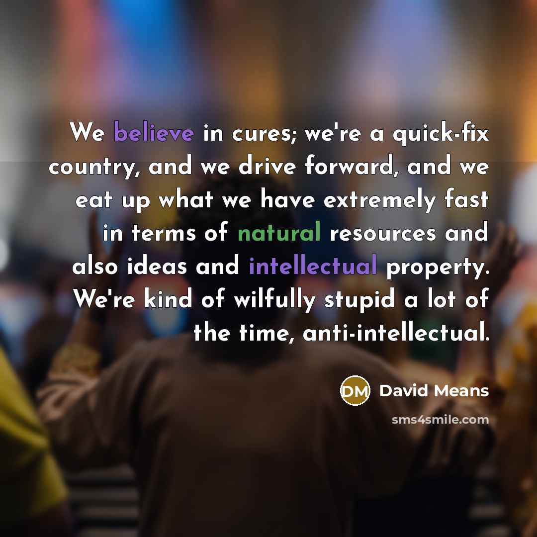 “We believe in cures; we're a quick-fix country, and we…” quote by David Means
