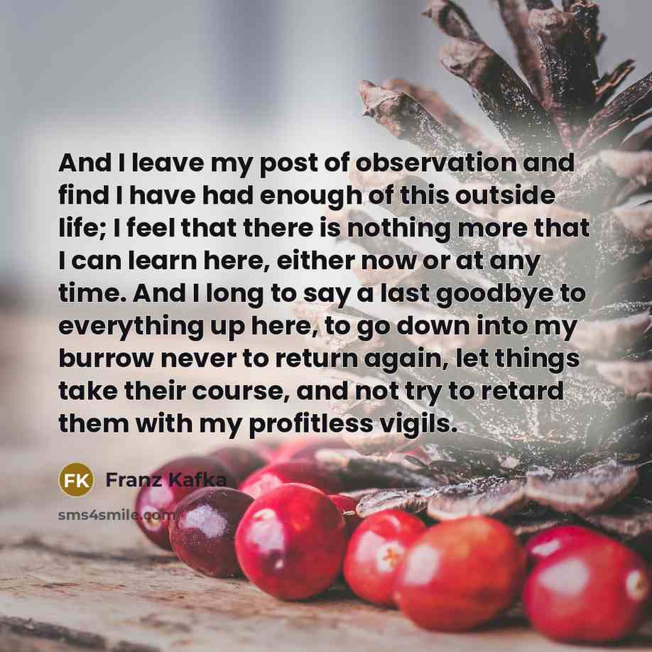 “And I leave my post of observation and find I…” quote by Franz Kafka