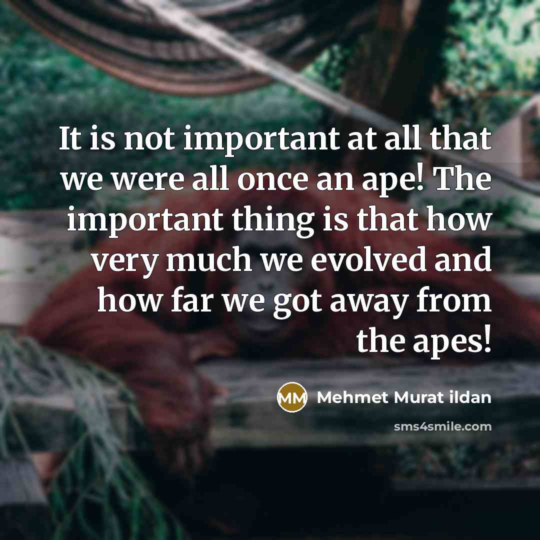 “It is not important at all that we were all…” quote by Mehmet Murat Ildan