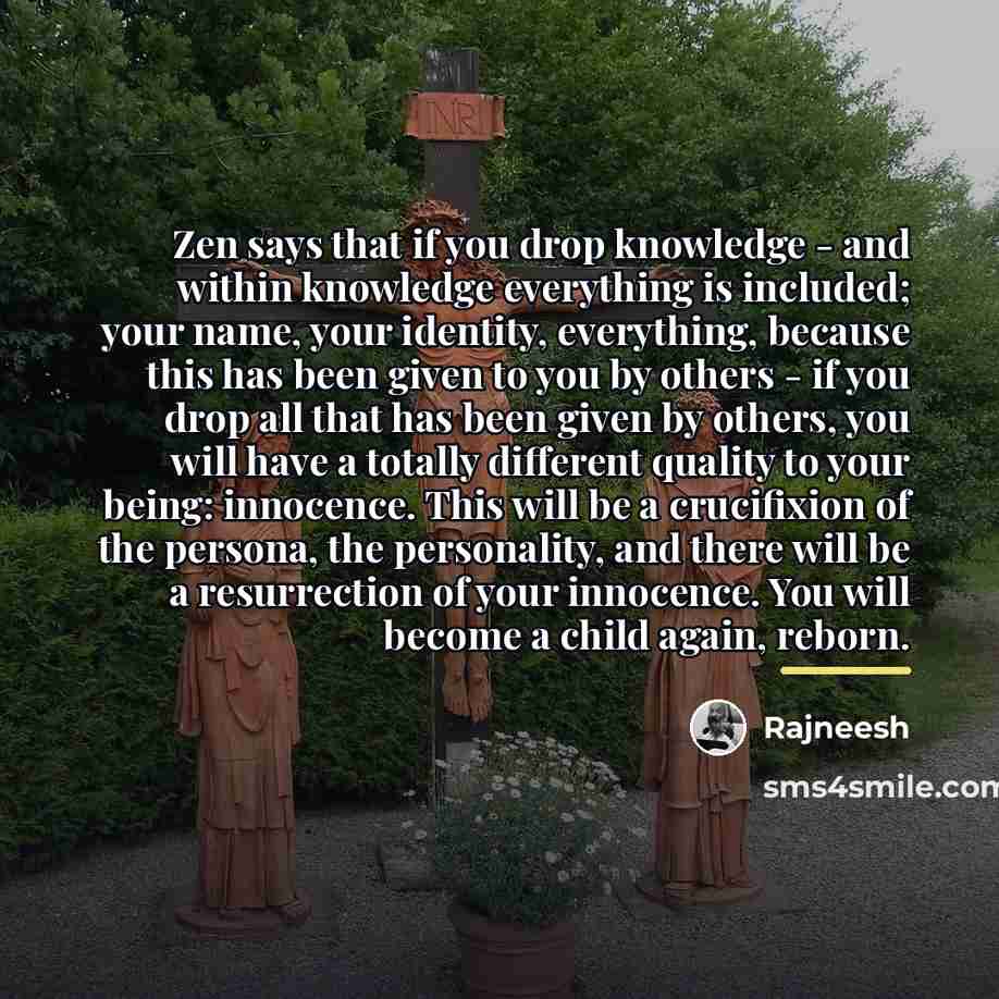 “Zen says that if you drop knowledge - and within…” quote by Rajneesh