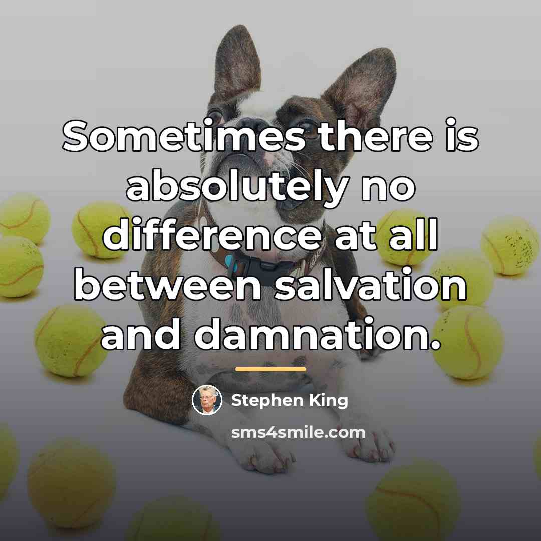 “Sometimes there is absolutely no difference at all between salvation…” quote by Stephen King