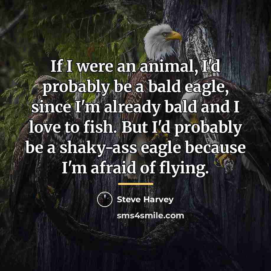 “If I were an animal, I'd probably be a bald…” quote by Steve Harvey
