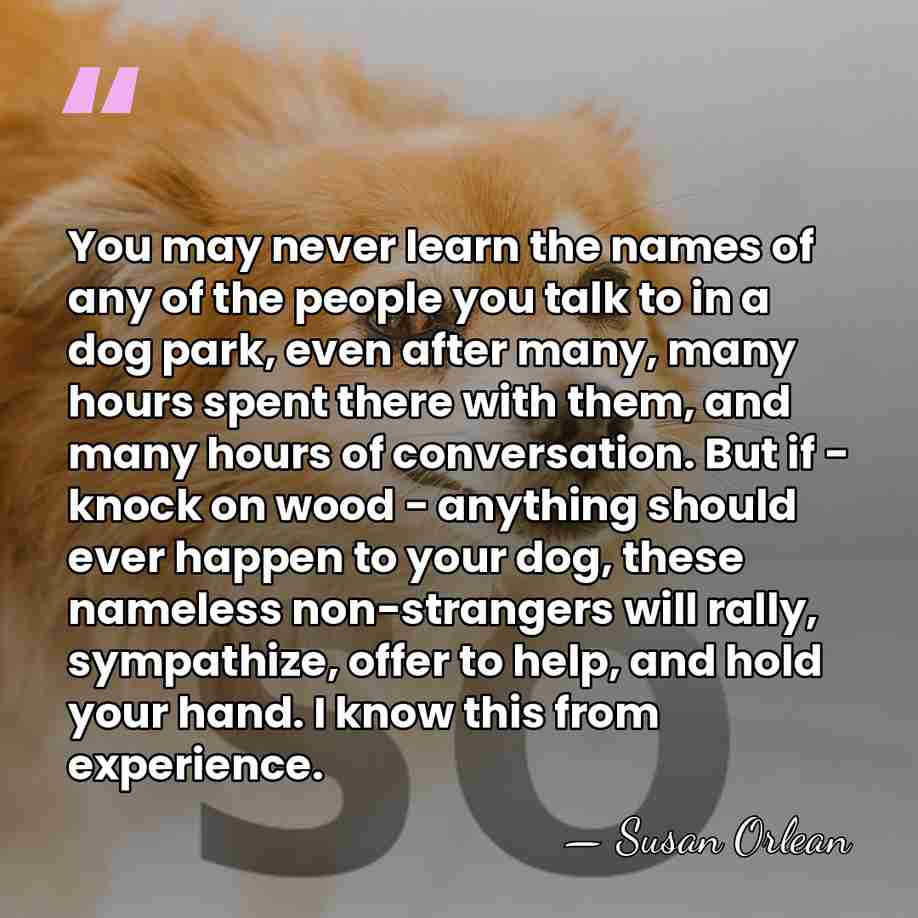 You may never learn the names of any of the people you&hellip; - Susan Orlean