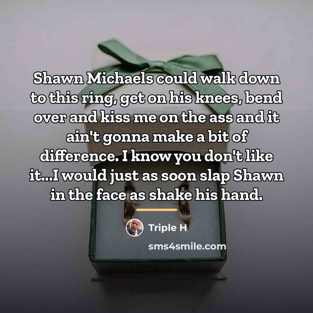 “Shawn Michaels could walk down to this ring, get on…” quote by Triple H