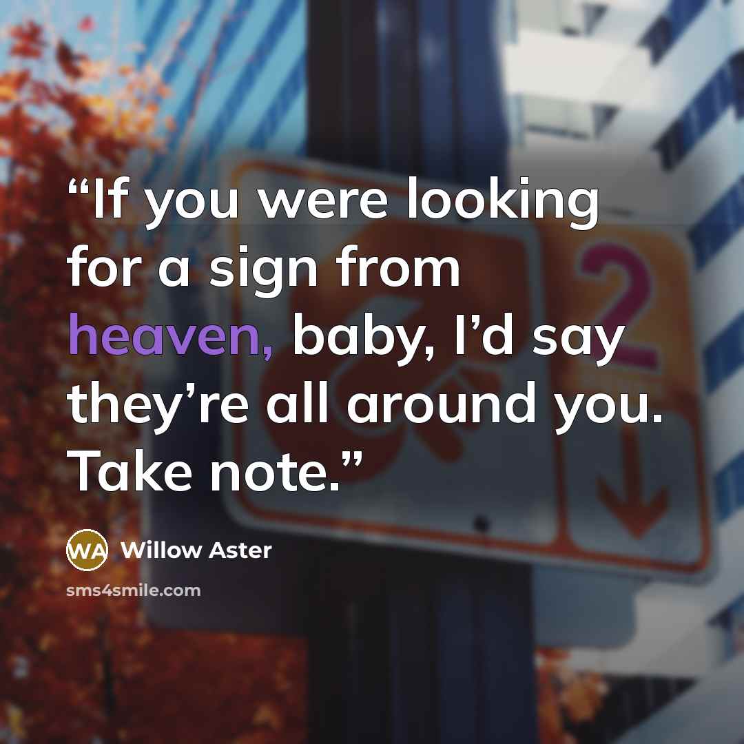 “If you were looking for a sign from heaven, baby, I’d say they’re all around you. Take note.” quote by Willow Aster