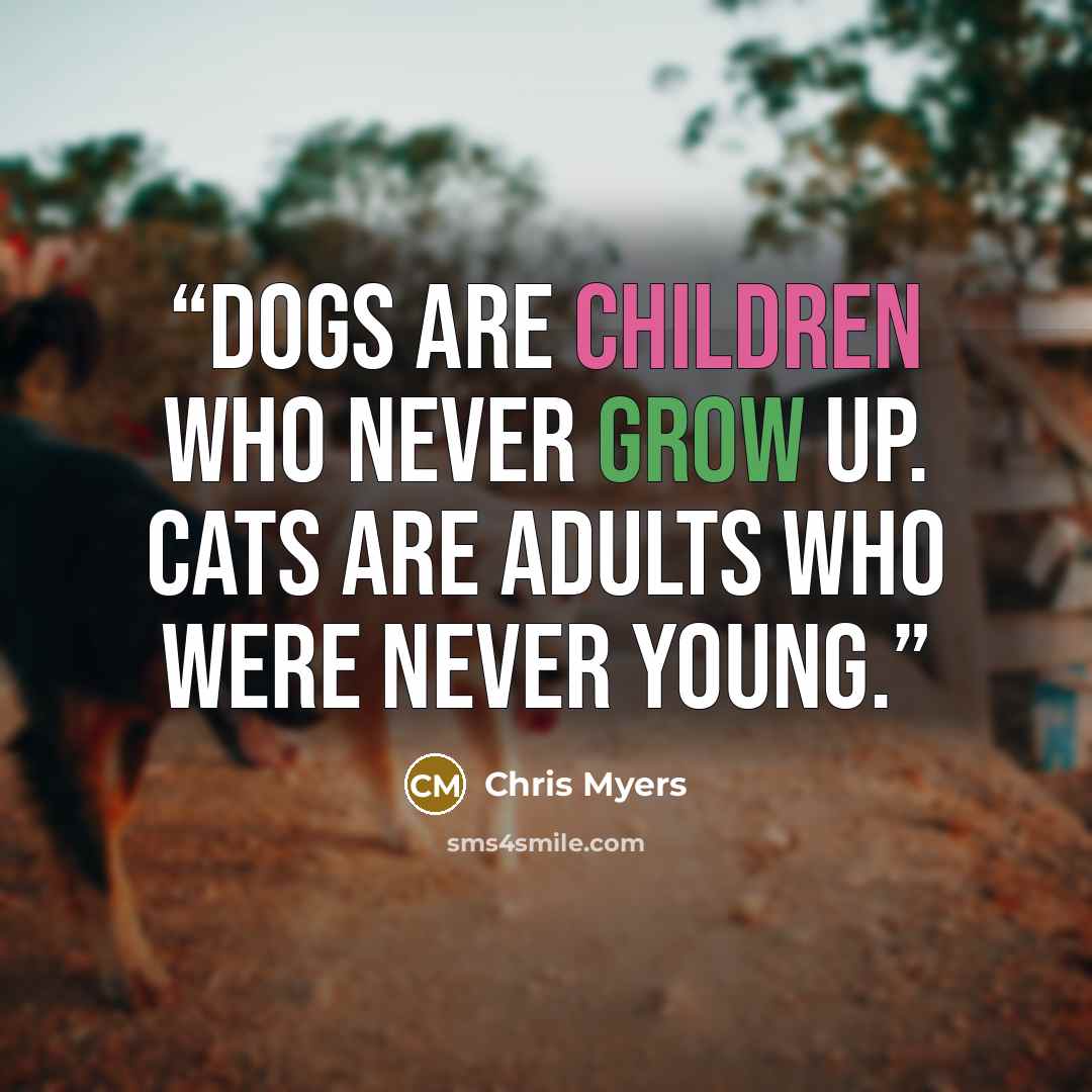 “Dogs are children who never grow up. Cats are adults who were never young.” quote by Chris Myers