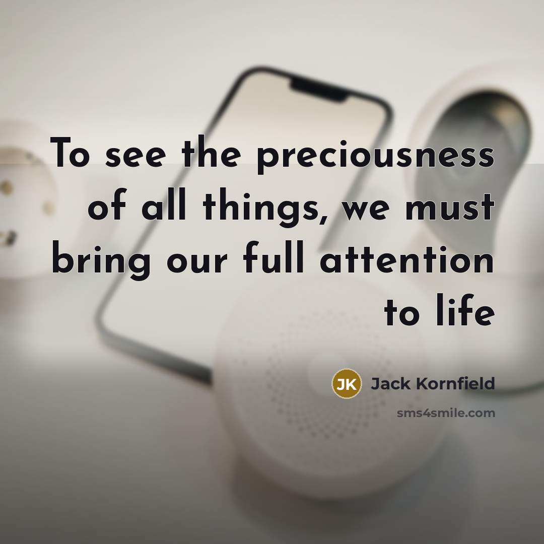 “To see the preciousness of all things, we must bring…” quote by Jack Kornfield