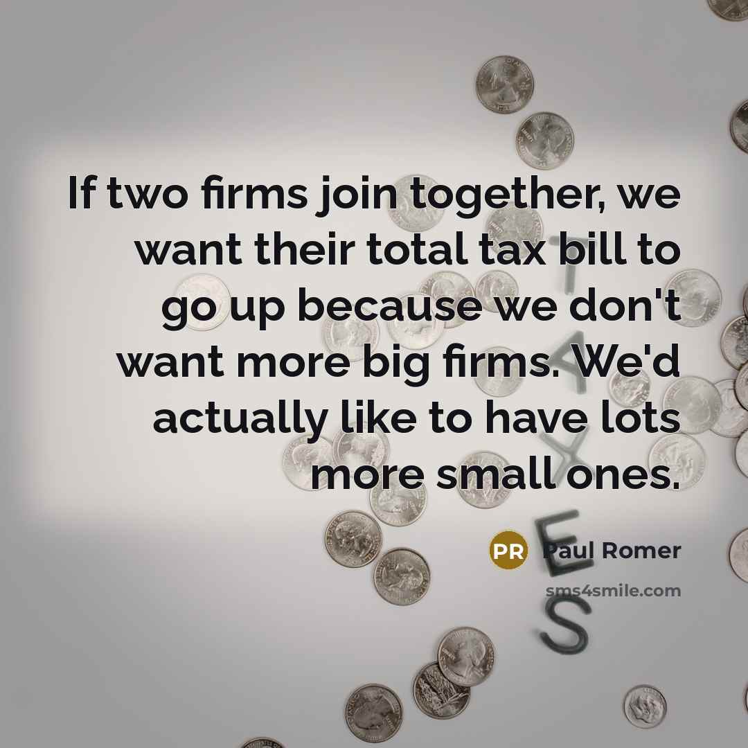 “If two firms join together, we want their total tax…” quote by Paul Romer