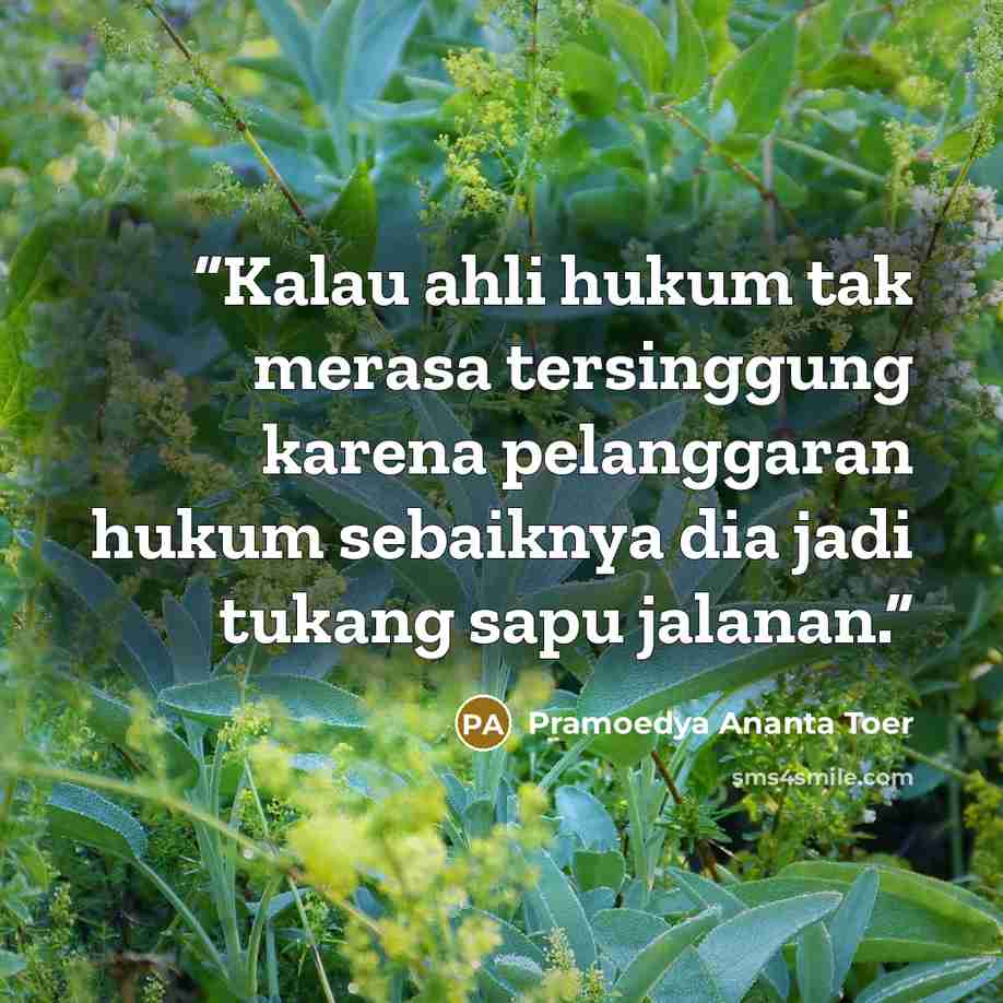 “Kalau ahli hukum tak merasa tersinggung karena pelanggaran hukum sebaiknya dia jadi tukang sapu jalanan.” quote by Pramoedya Ananta Toer