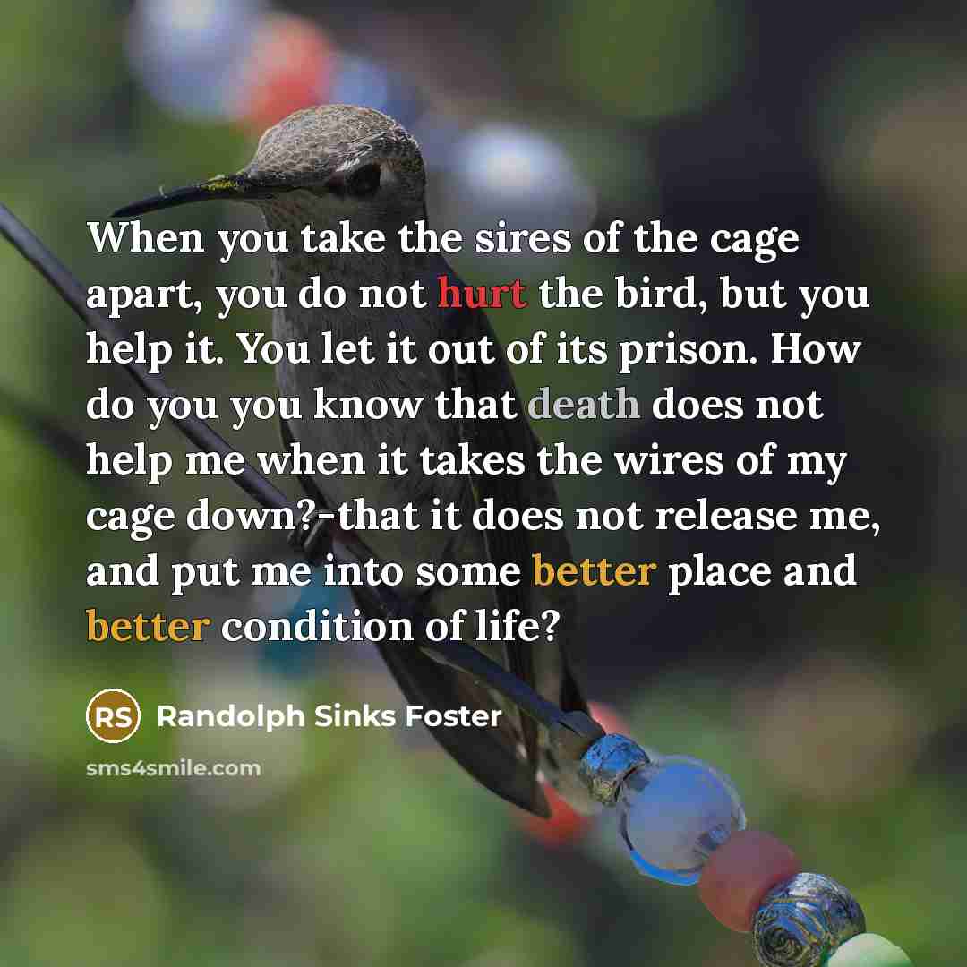 “When you take the sires of the cage apart, you…” quote by Randolph Sinks Foster