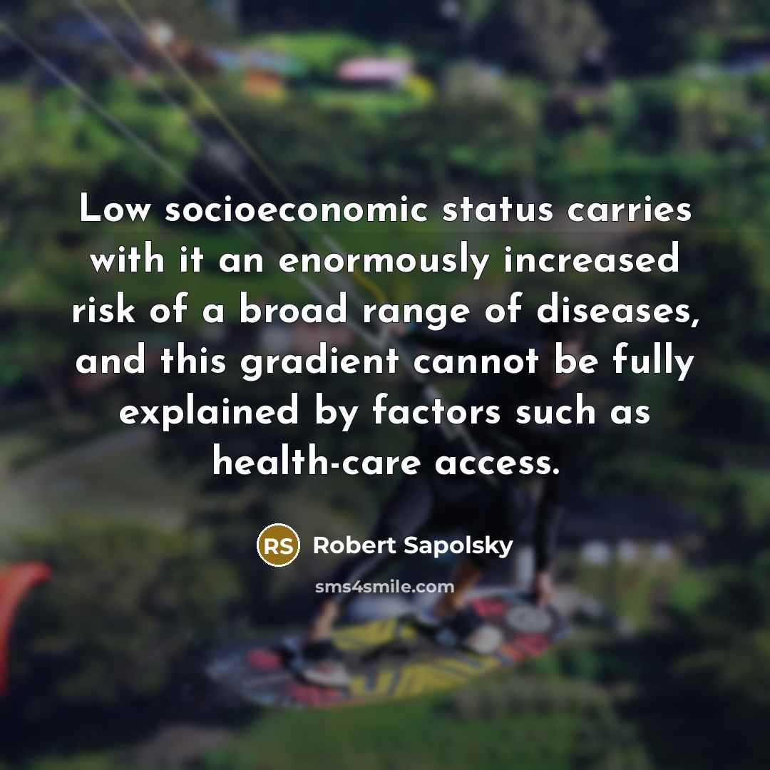 “Low socioeconomic status carries with it an enormously increased risk…” quote by Robert Sapolsky