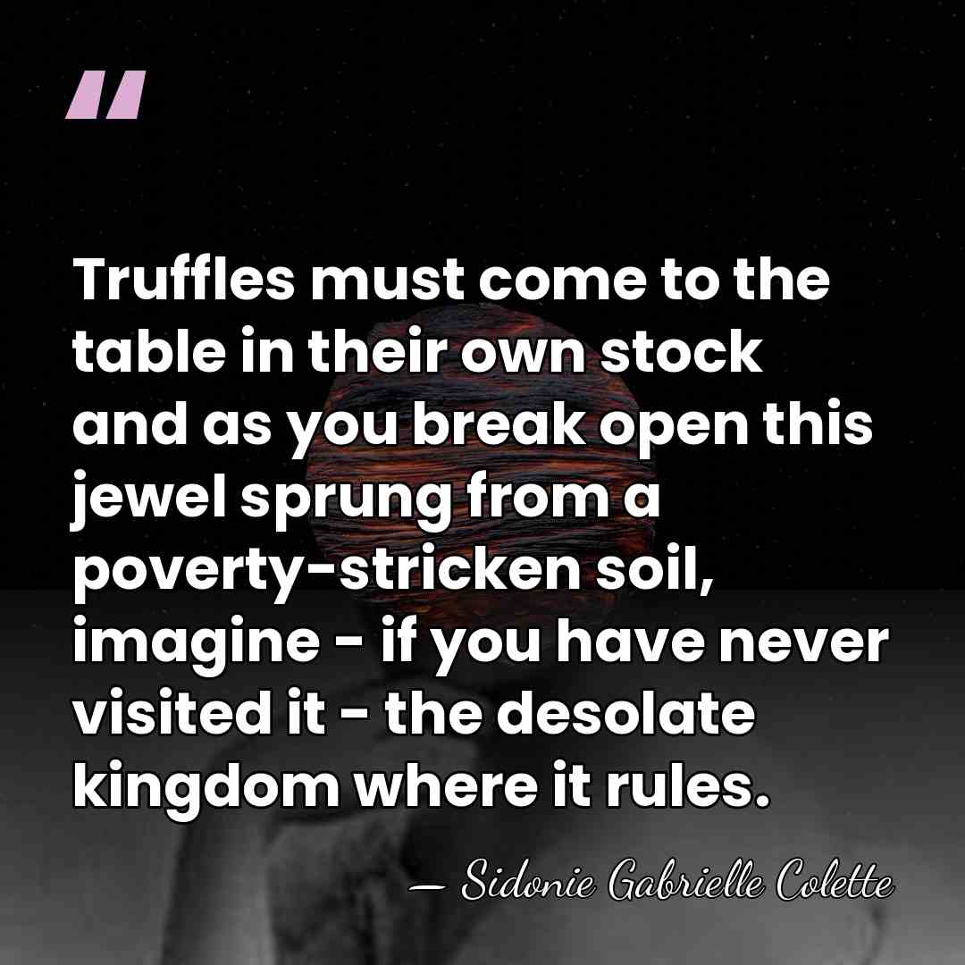 Truffles must come to the table in their own stock and as&hellip; - Sidonie Gabrielle Colette
