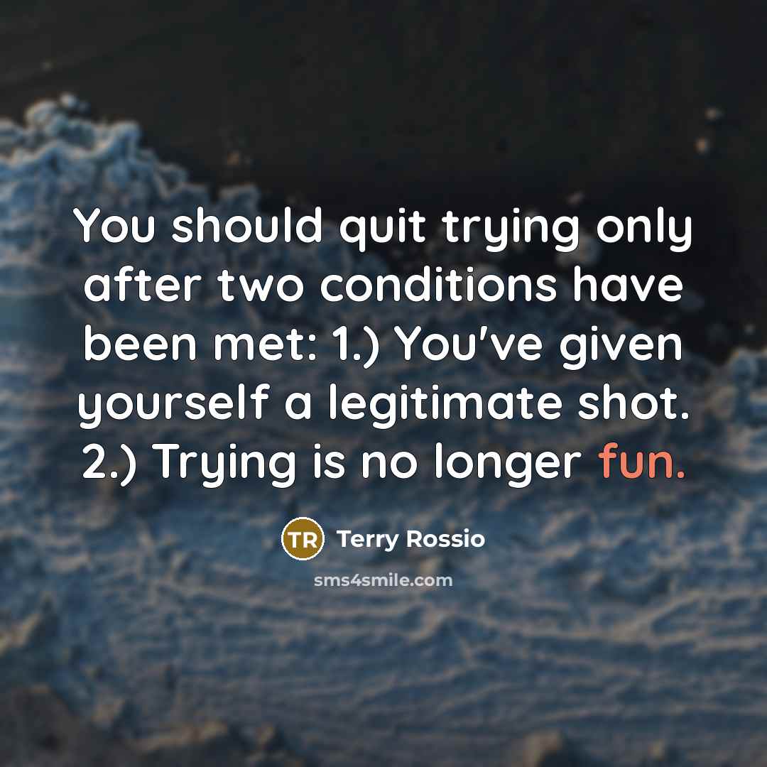 “You should quit trying only after two conditions have been…” quote by Terry Rossio
