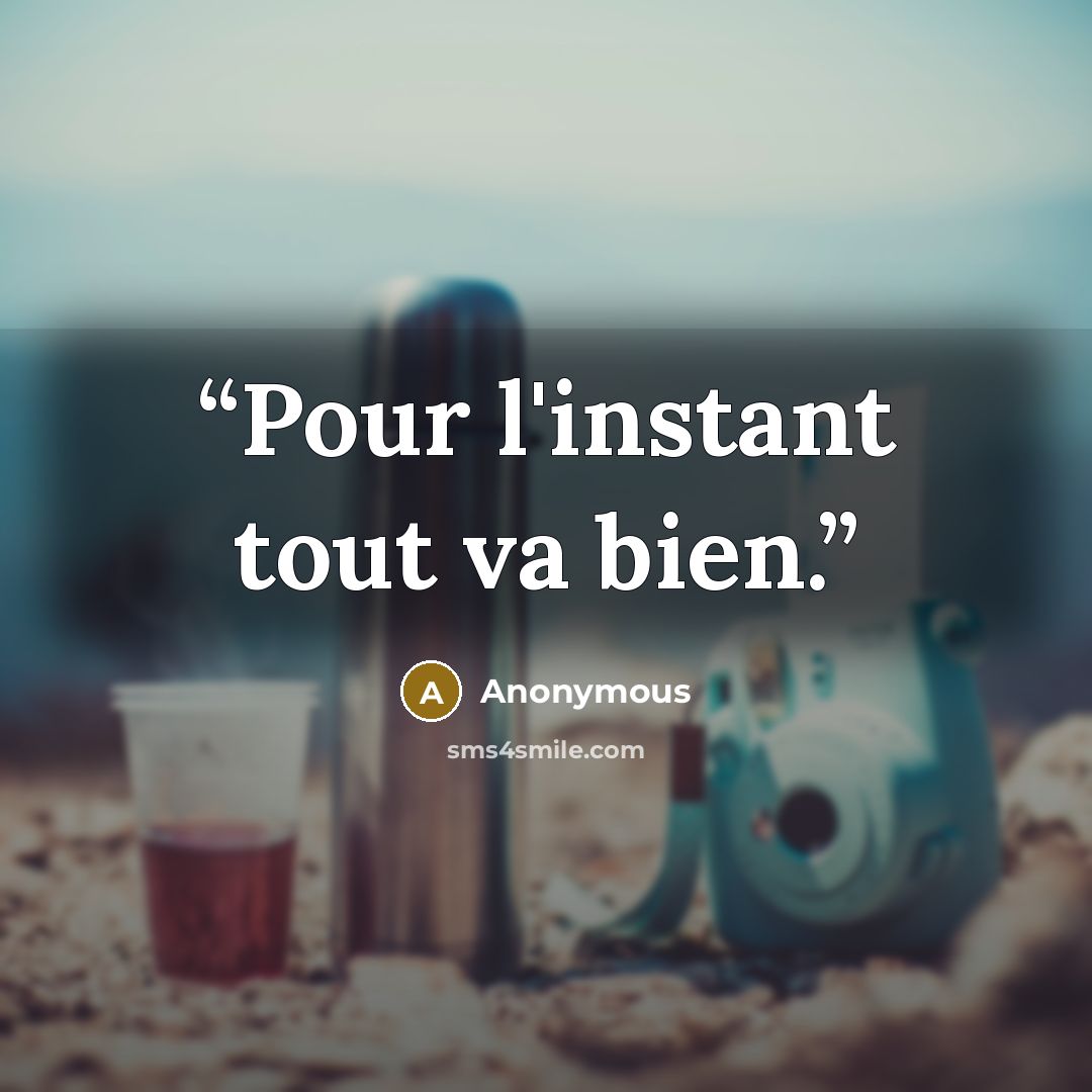 “Pour l'instant tout va bien.” quote by Anonymous