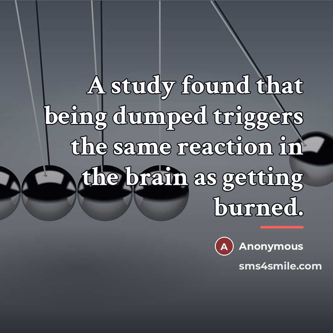 “A study found that being dumped triggers the same reaction…” quote by Anonymous
