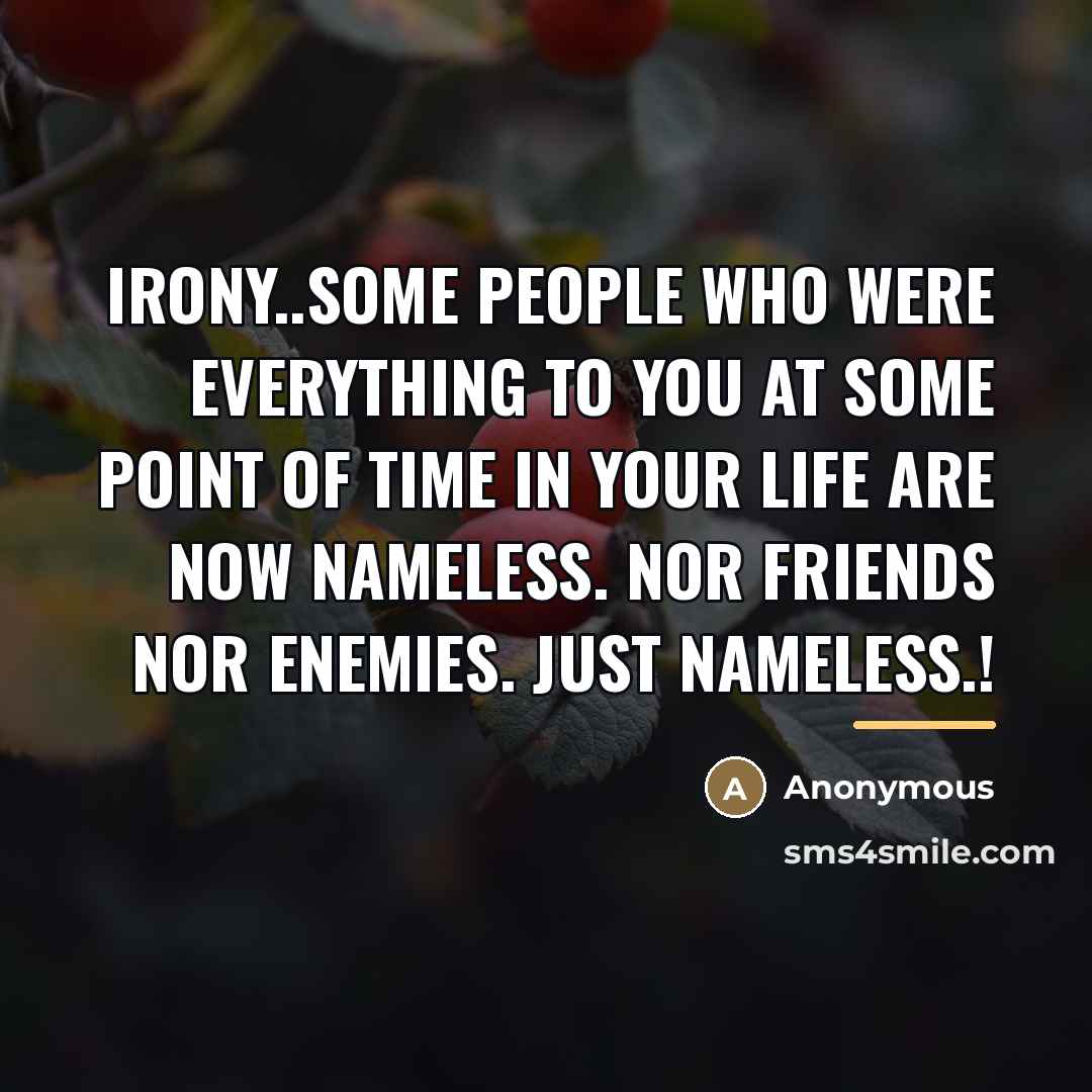 “Irony..Some people who were everything to you at some point of time in your life are now nameless. Nor friends nor enemies. Just nameless.!” quote by Anonymous