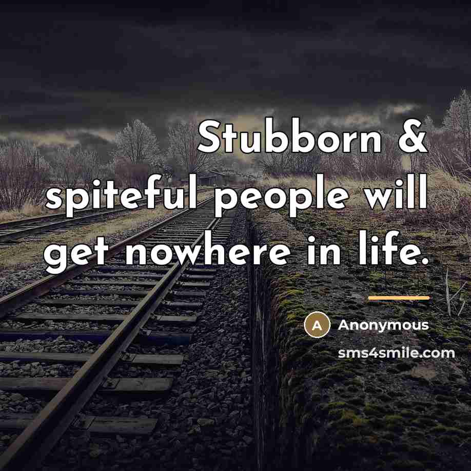 “Stubborn & spiteful people will get nowhere in life.…” quote by Anonymous
