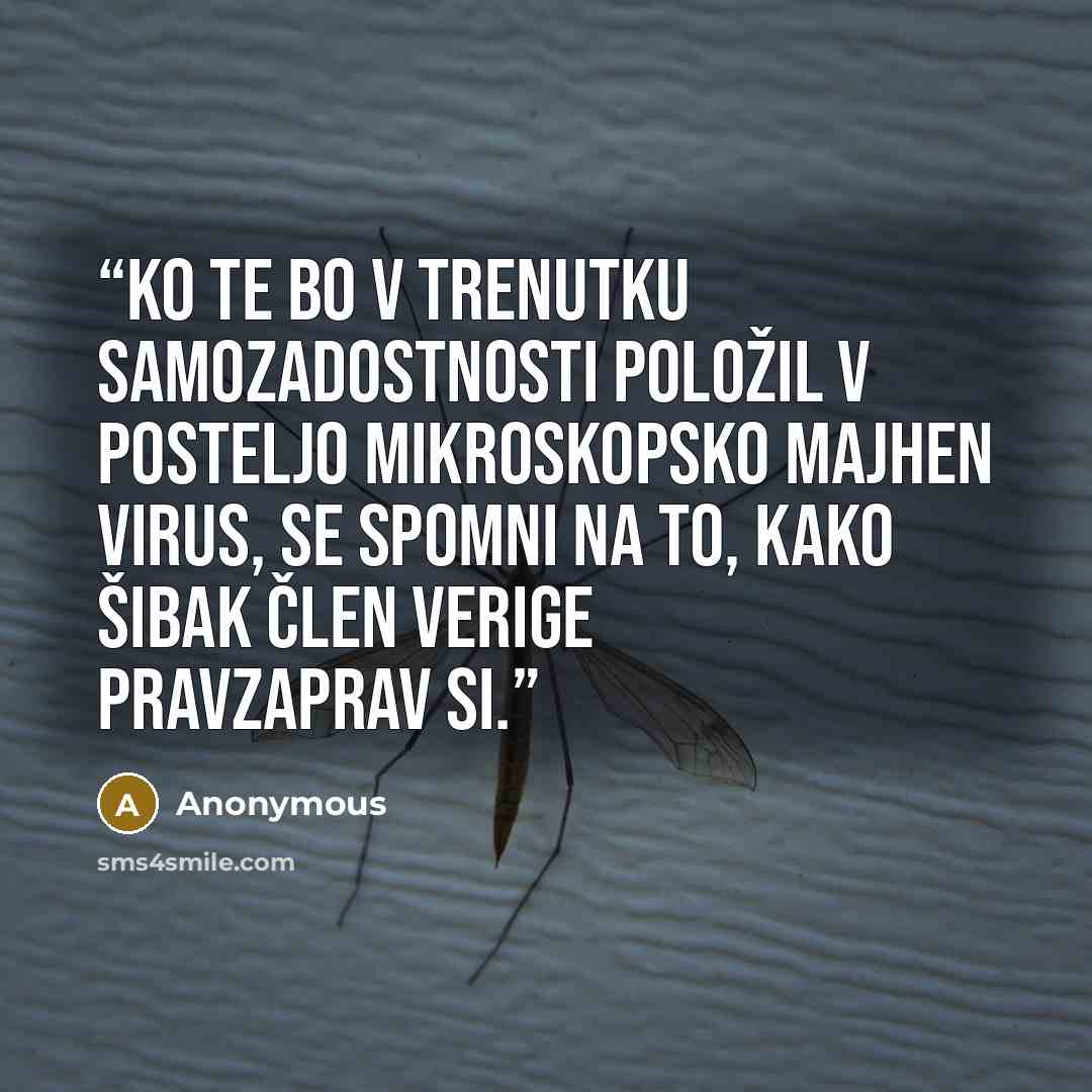 “Ko te bo v trenutku samozadostnosti položil v posteljo mikroskopsko majhen virus, se spomni na to, kako šibak člen verige pravzaprav si.” quote by Anonymous