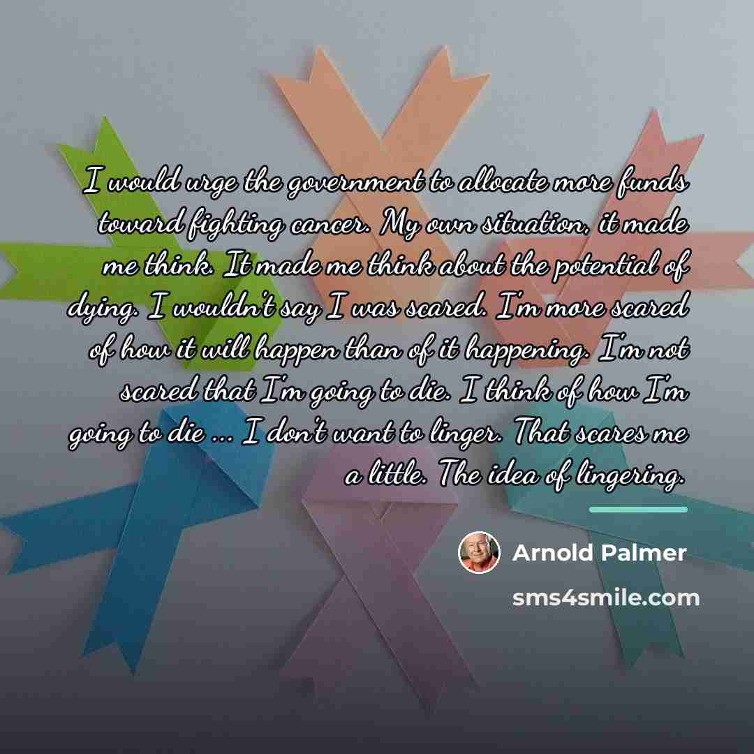 “I would urge the government to allocate more funds toward…” quote by Arnold Palmer
