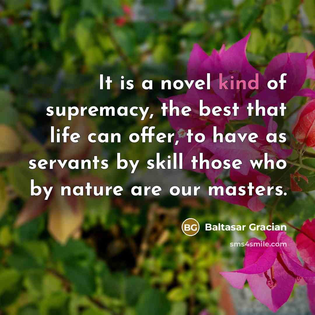 “It is a novel kind of supremacy, the best that…” quote by Baltasar Gracian