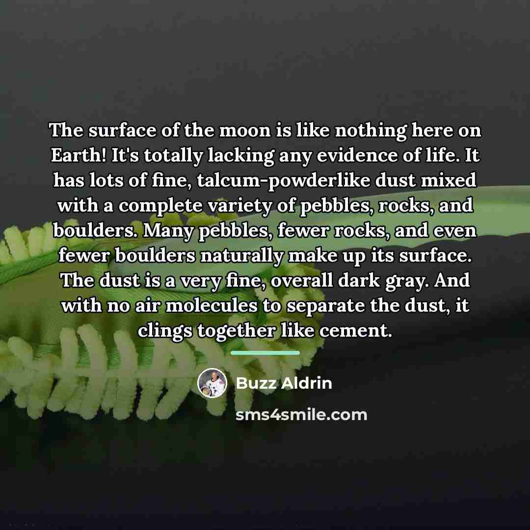 “The surface of the moon is like nothing here on…” quote by Buzz Aldrin